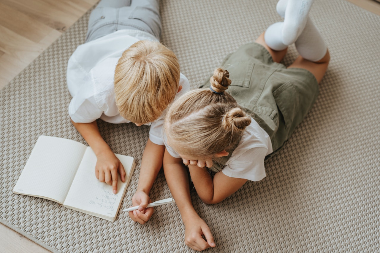 Pros, Cons, and Success Strategies: A Comprehensive Guide to Homeschooling for A Levels 1 featureimages